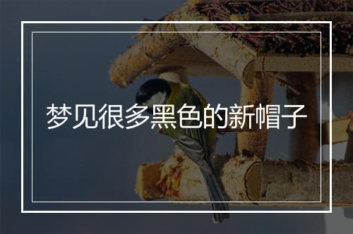 梦见很多黑色的新帽子