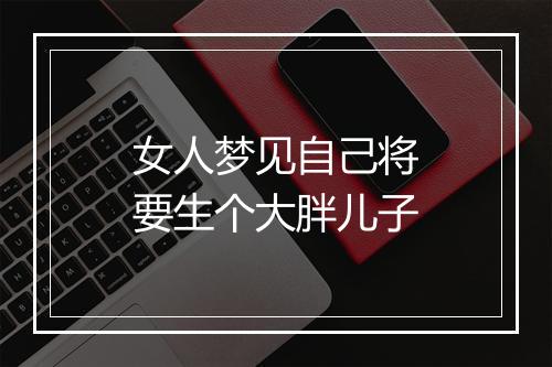 女人梦见自己将要生个大胖儿子