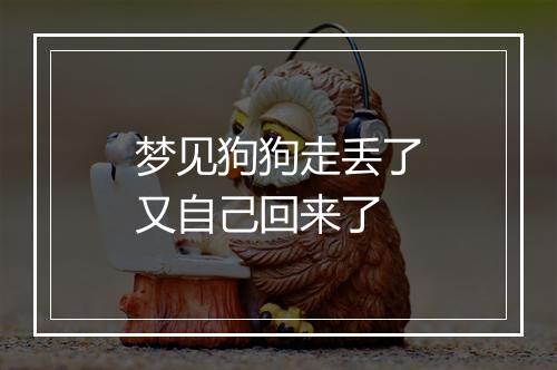 梦见狗狗走丢了又自己回来了