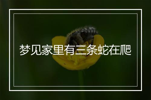 梦见家里有三条蛇在爬