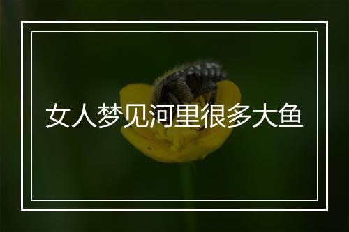 女人梦见河里很多大鱼