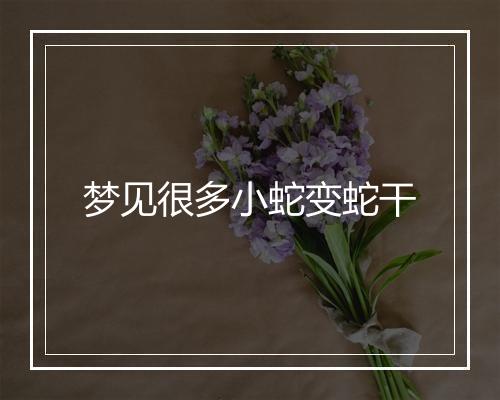 梦见很多小蛇变蛇干