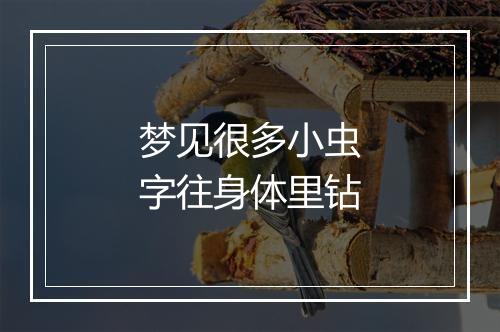 梦见很多小虫字往身体里钻