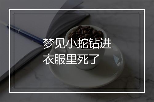 梦见小蛇钻进衣服里死了