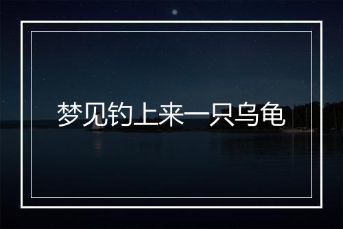 梦见钓上来一只乌龟