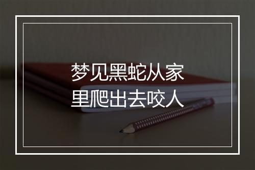 梦见黑蛇从家里爬出去咬人