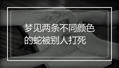 梦见两条不同颜色的蛇被别人打死