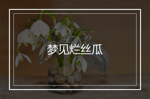 梦见烂丝瓜