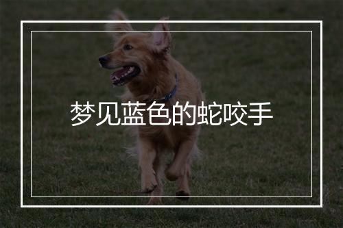 梦见蓝色的蛇咬手