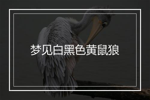 梦见白黑色黄鼠狼