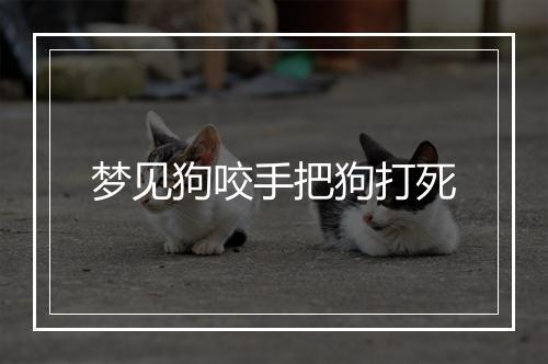 梦见狗咬手把狗打死