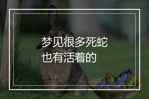 梦见很多死蛇也有活着的