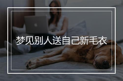 梦见别人送自己新毛衣