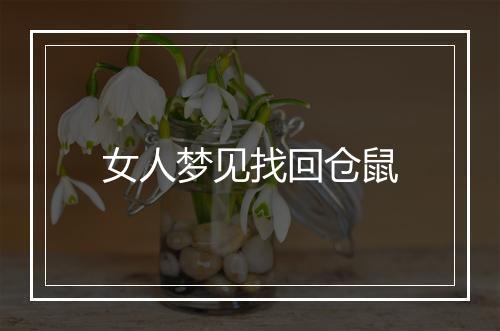 女人梦见找回仓鼠