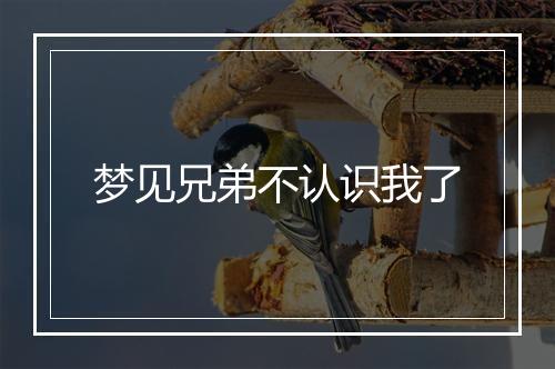 梦见兄弟不认识我了