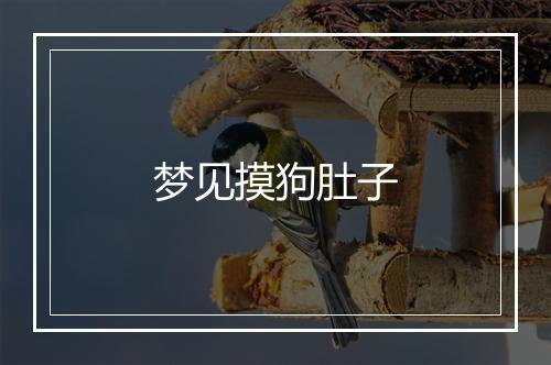 梦见摸狗肚子