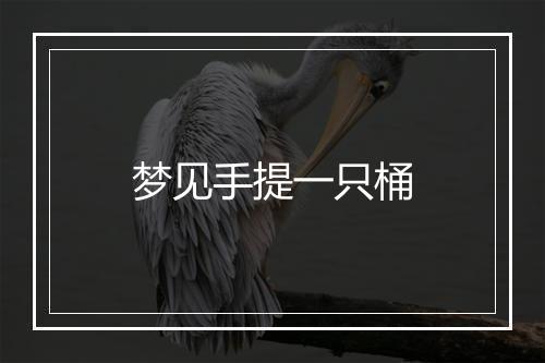 梦见手提一只桶