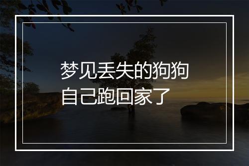 梦见丢失的狗狗自己跑回家了