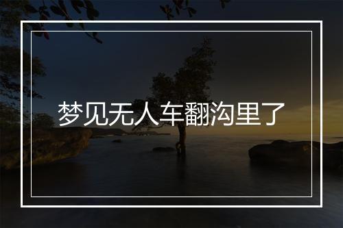 梦见无人车翻沟里了