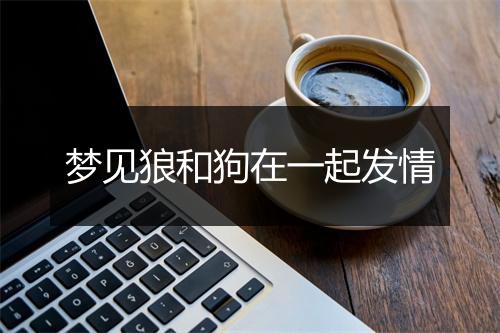 梦见狼和狗在一起发情