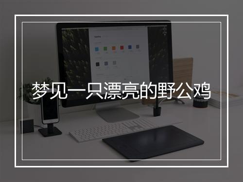 梦见一只漂亮的野公鸡