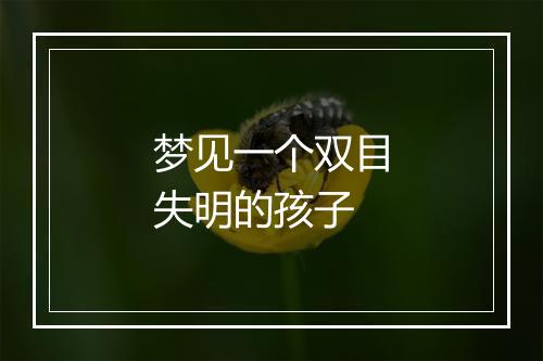 梦见一个双目失明的孩子