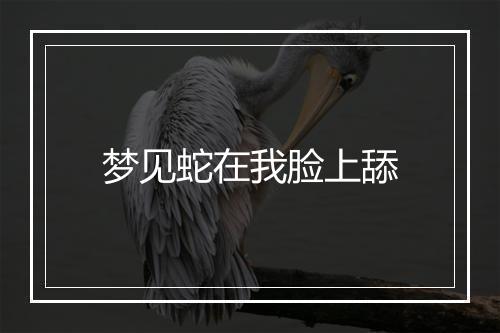 梦见蛇在我脸上舔