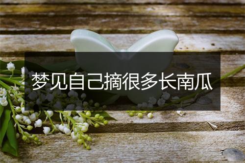 梦见自己摘很多长南瓜