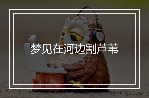 梦见在河边割芦苇