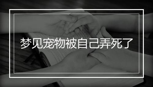 梦见宠物被自己弄死了