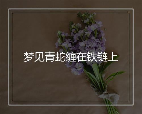 梦见青蛇缠在铁链上