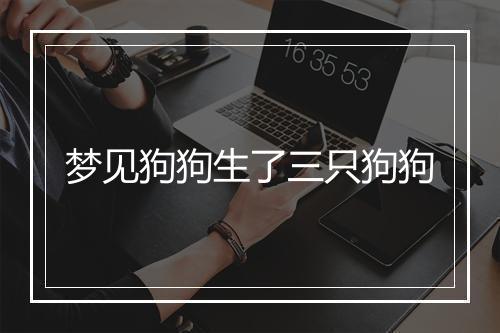 梦见狗狗生了三只狗狗