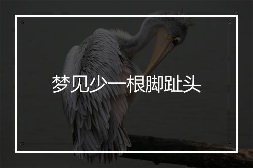 梦见少一根脚趾头