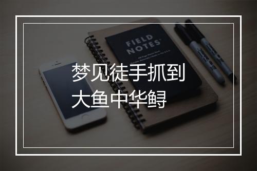 梦见徒手抓到大鱼中华鲟