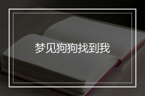 梦见狗狗找到我