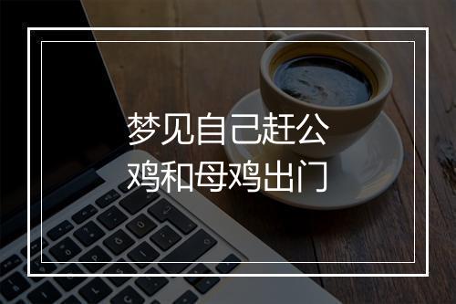 梦见自己赶公鸡和母鸡出门