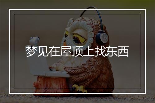 梦见在屋顶上找东西