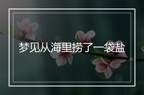 梦见从海里捞了一袋盐