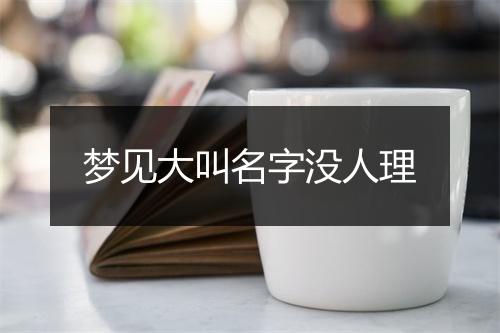 梦见大叫名字没人理