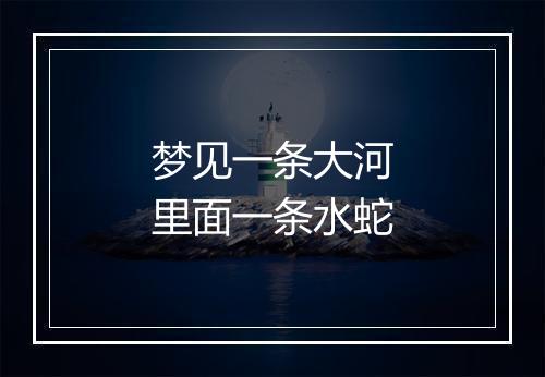 梦见一条大河里面一条水蛇