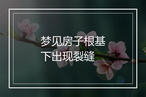 梦见房子根基下出现裂缝