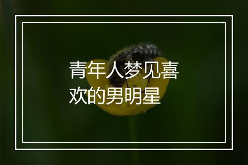 青年人梦见喜欢的男明星