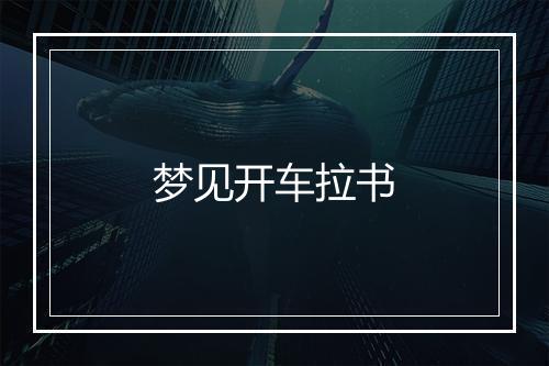 梦见开车拉书