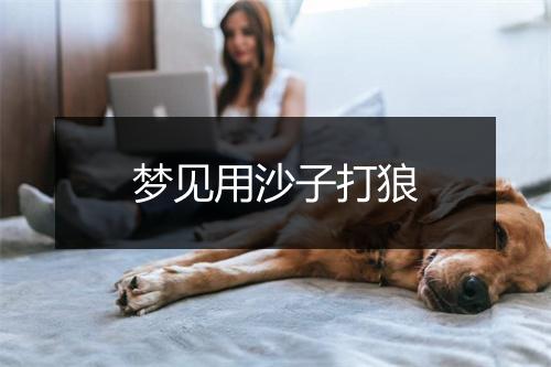 梦见用沙子打狼