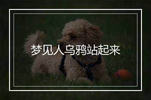 梦见人乌鸦站起来