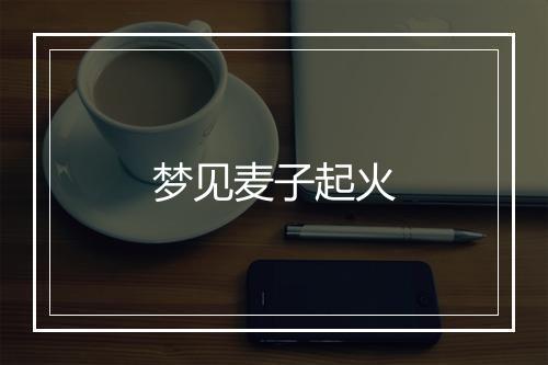 梦见麦子起火