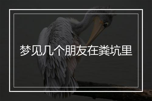 梦见几个朋友在粪坑里