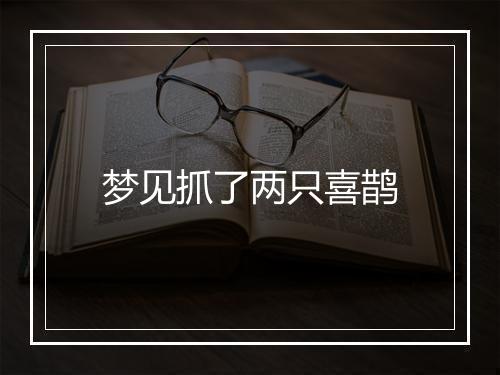 梦见抓了两只喜鹊