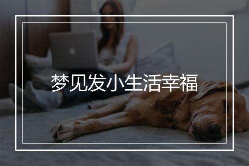 梦见发小生活幸福