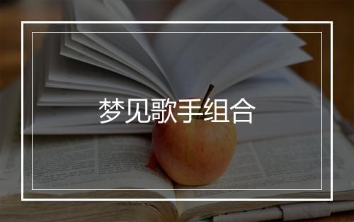 梦见歌手组合